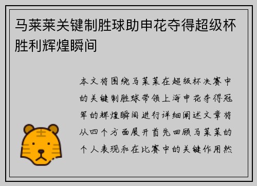 马莱莱关键制胜球助申花夺得超级杯胜利辉煌瞬间 马莱莱关键制胜球助申花夺得超级杯胜利辉煌瞬间